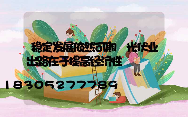 稳定发展依然可期 光伏业出路在于提高经济性